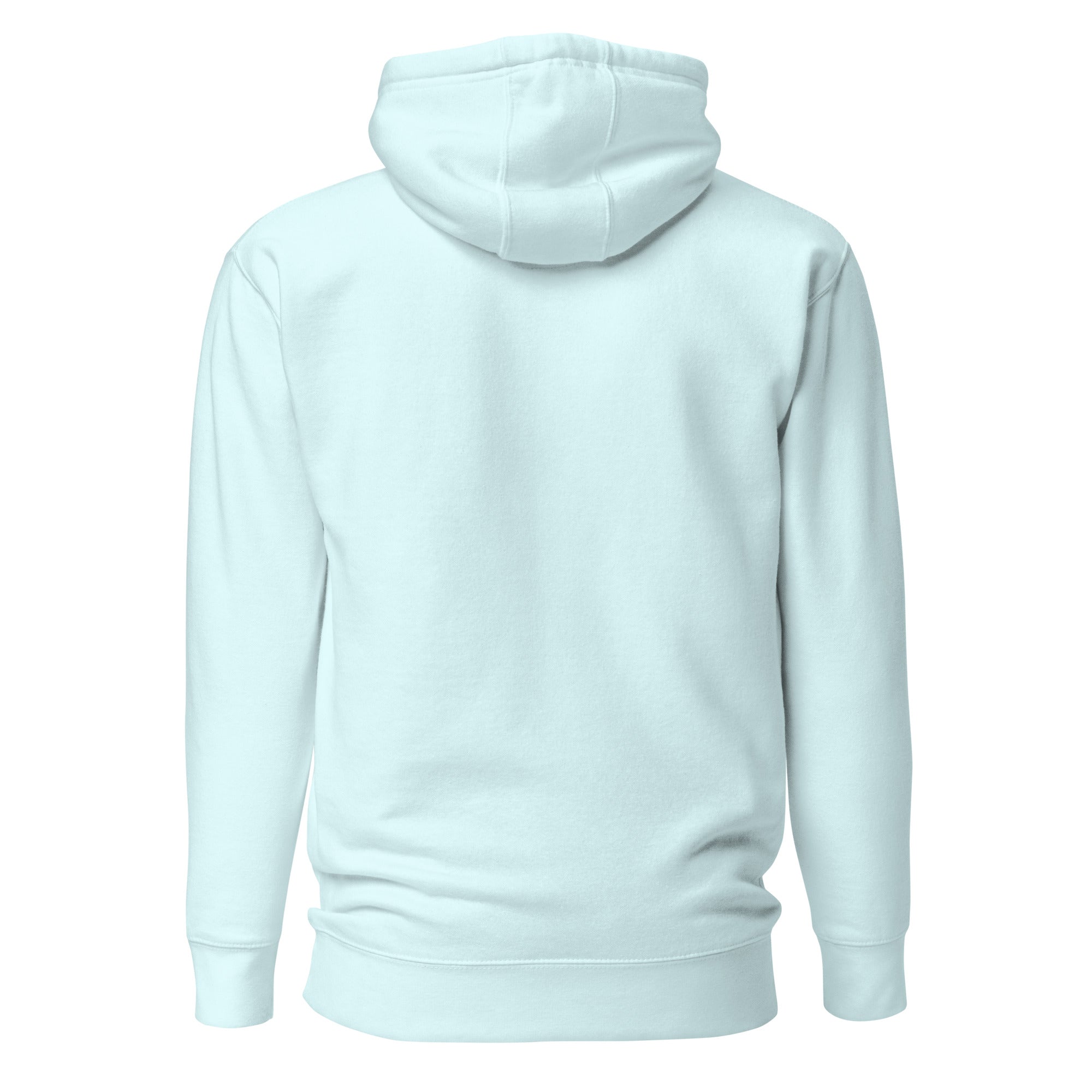 Powder Blue 3D Bunny Graphic Hoodie Back View